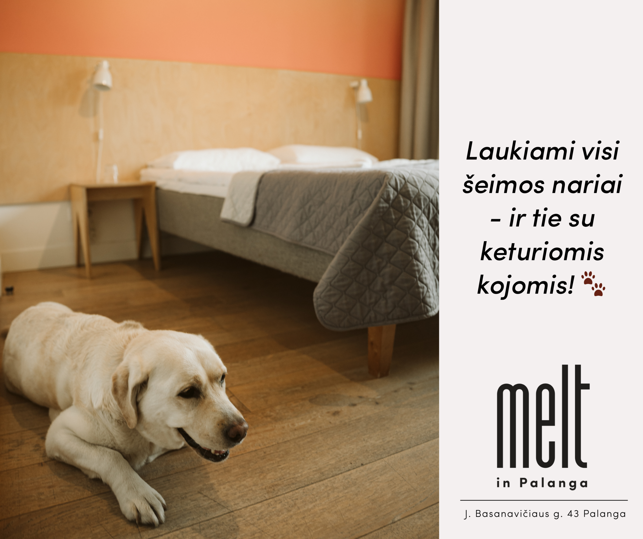 Atostogos Palangoje su augintiniu: ką verta žinoti
